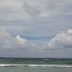 Meet your Posher, Sharen